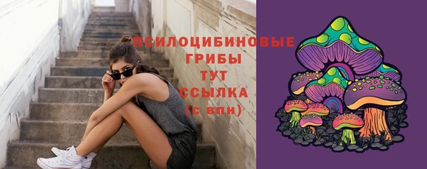 СК Алексеевка