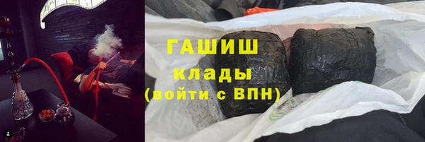хмурый Алексин