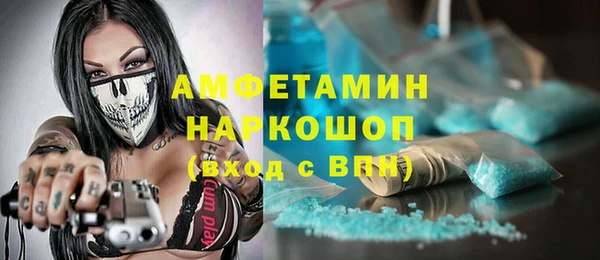 хмурый Алексин