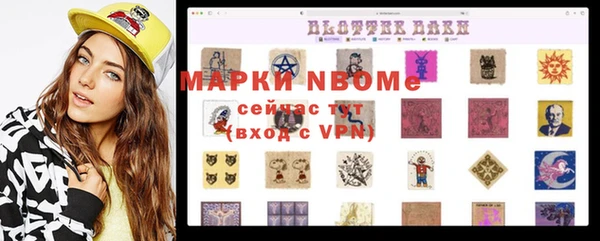 хмурый Алексин