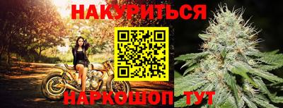 spice Донецк