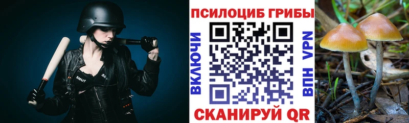 Псилоцибиновые грибы GOLDEN TEACHER  купить  цена  Норильск 