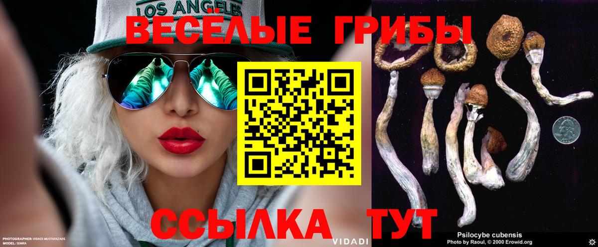 где купить наркотик  Галлюциногенные грибы GOLDEN TEACHER  Галлюциногенные грибы GOLDEN TEACHER  Вход с VPN  Норильск 